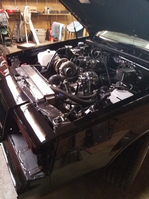 20170225_172932.jpg