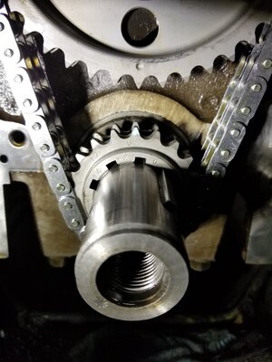 20180204_125232.jpg