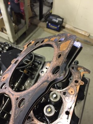 Head Gaskets.JPG