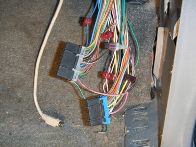 DSCN0632.JPG