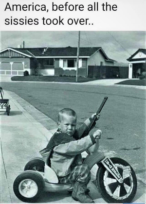 before pussies.png