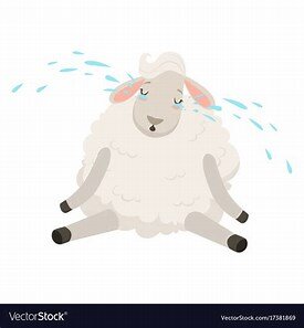 Crying sheep.jpg