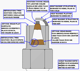 plug reading.gif