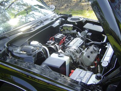 86 LeSabre GN engine.JPG