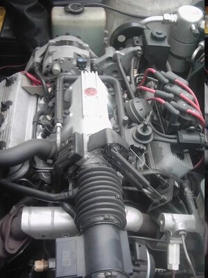 '86LeSabre_engine1.jpg