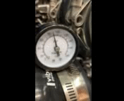 IMG_7709_20250225_131831.3gp(1).gif