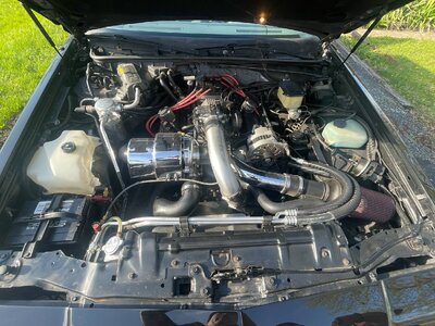 Engine Bay.jpeg