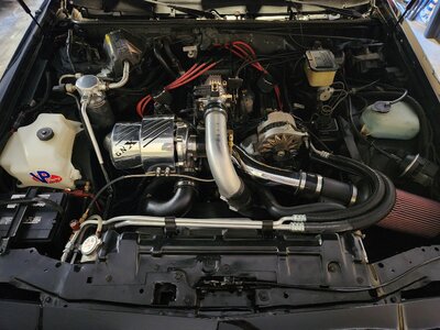 Engine Bay.jpg